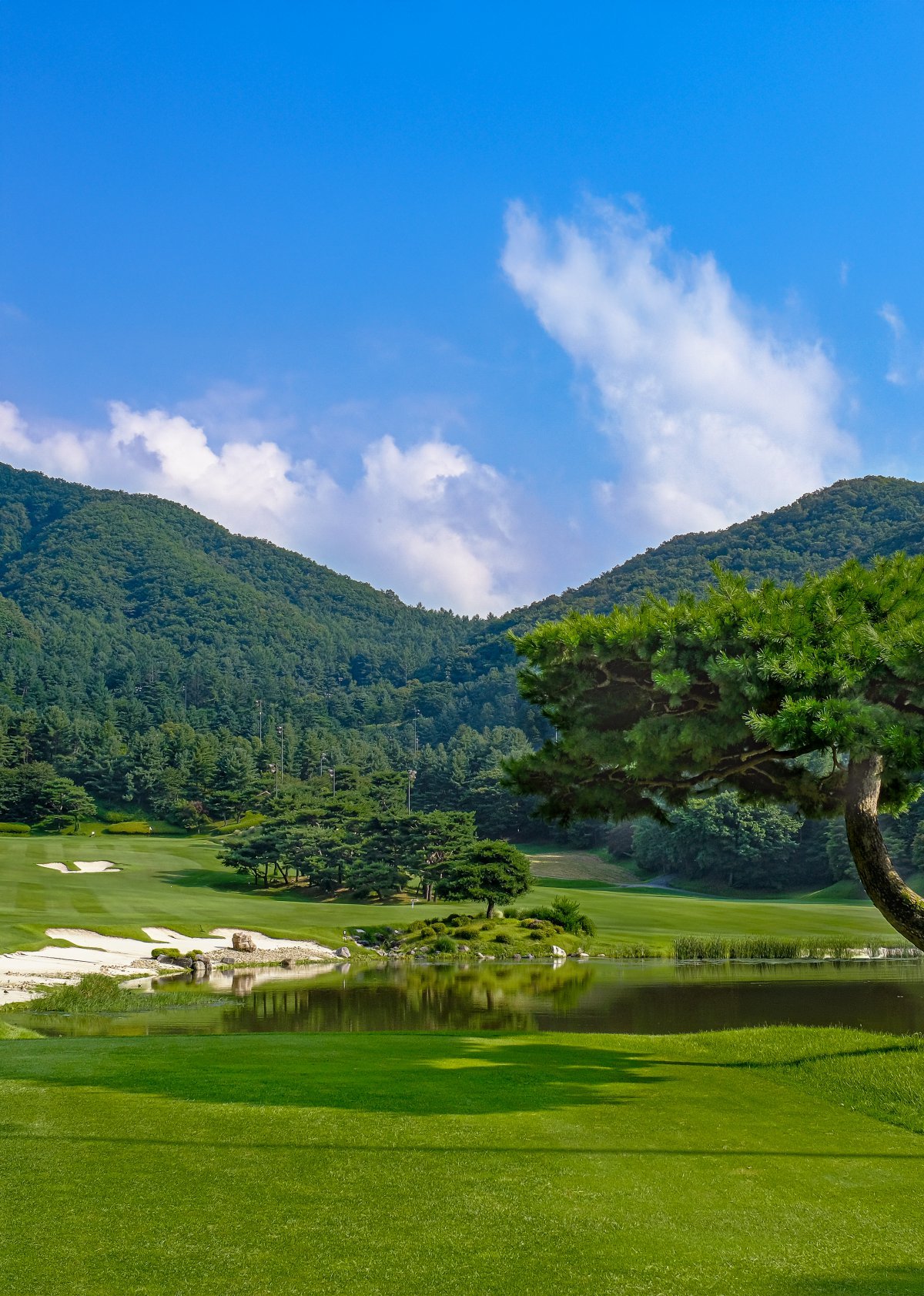 중부CC 전경. 사진제공ㅣ더 시에나 그룹