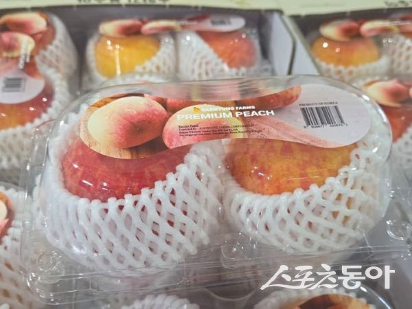 영주 복숭아. 사진제공ㅣ영주시