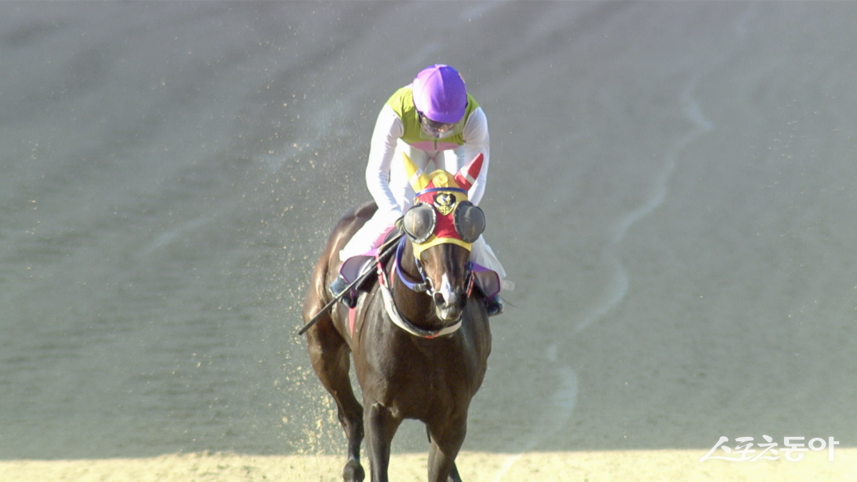 경주마의 이름 속에는 마주의 철학을 포함해 많은 의미가 포함돼 있다. 경주로를 힘차게 달리고 있는 에펠탑. 사진제공|한국마사회