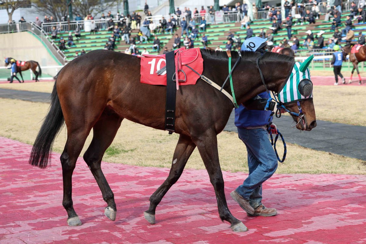 영광의월드. 사진제공  |   한국마사회