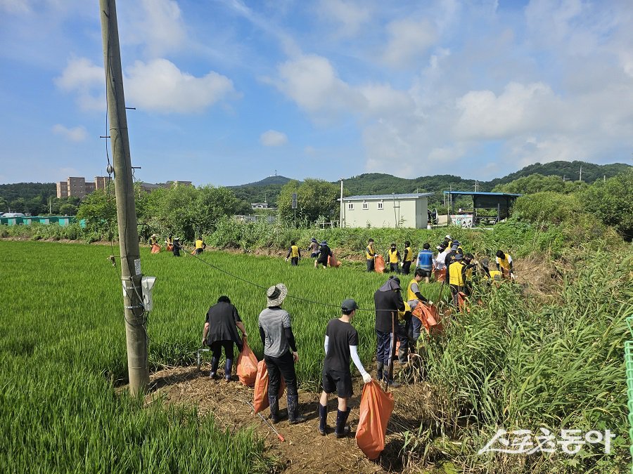 옹진군, 영흥면 폭우 피해 농경지 및 장경리 해수욕장 정비를 진행했다. 사진제공｜옹진군청