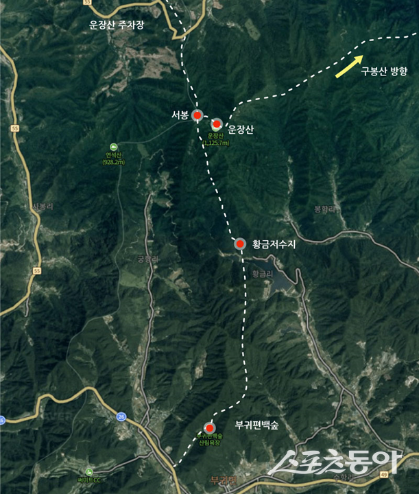 부귀편백숲 산악트레킹 코스. 사진제공=전북자치도