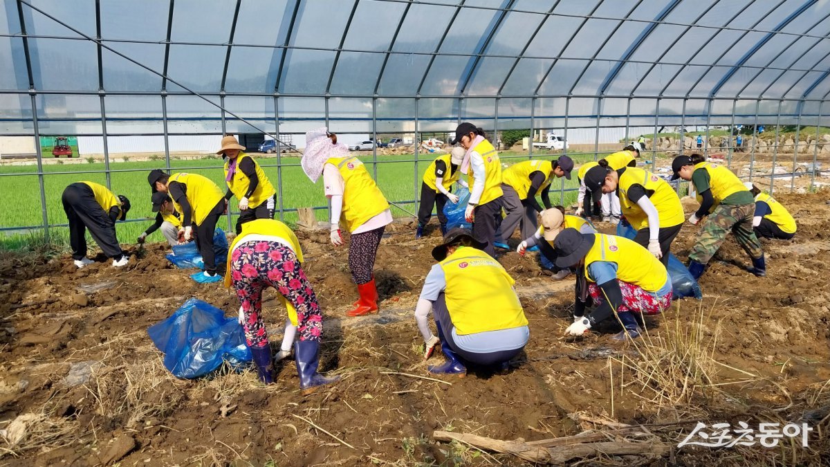 수원지역 봉사자 107명이 지난 26일 수해를 입은 가평군 상면 항사리 피해 농가를 찾아 35도를 웃도는 무더위 속에서 구슬땀을 흘리면서 복구 봉사활동을 펼치고 있다. 사진제공｜수원시