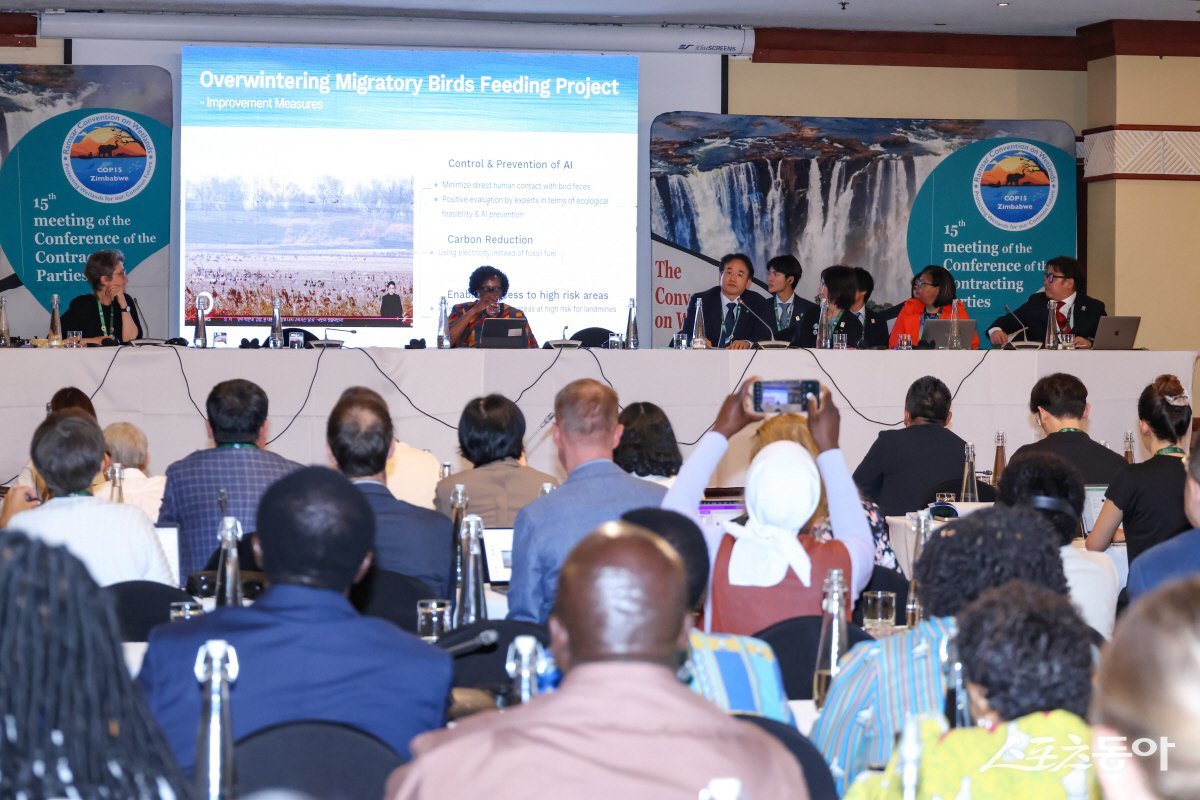 COP15에서 장항습지 우수사례(드론을 활용한 철새 먹이주기) 발표 중인 이동환 고양특례시장. 사진제공ㅣ고양시 