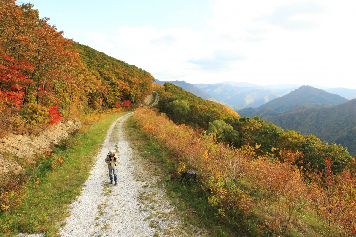 운탄고도 하늘길 전경사진.   강원랜드 제공