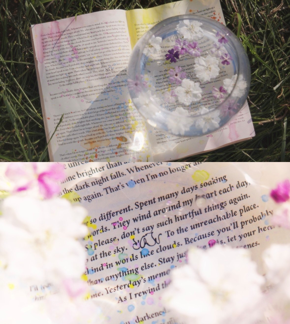 사진제공 = 앳에어리어