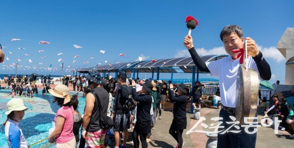 지난해 울릉도 오징어축제에서 오징어 맨손잡기 체험 프로그램이 진행되고 있다. 사진제공 ㅣ 울릉군