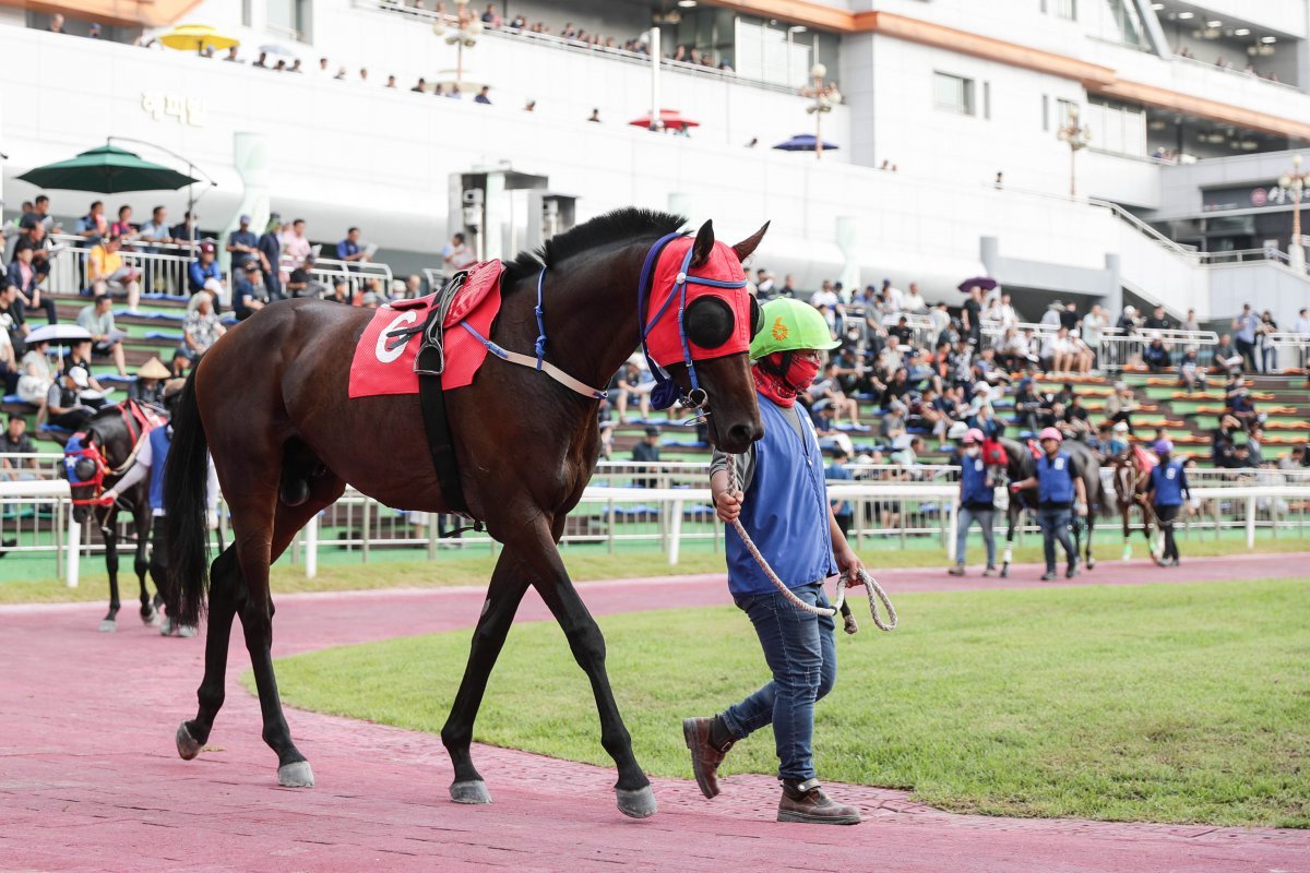 글로벌히트. 사진제공 | 한국마사회