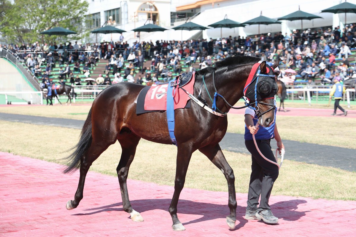 스피드영. 사진제공 | 한국마사회
