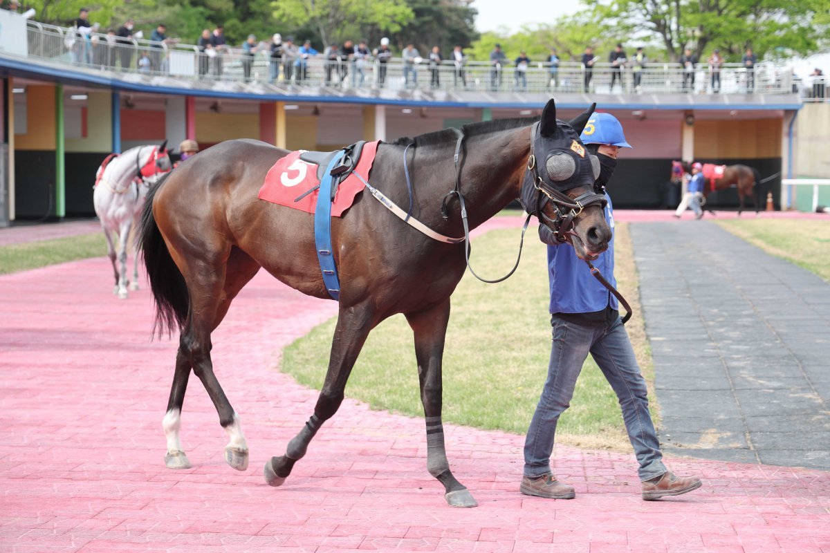 원더풀슬루. 사진제공 | 한국마사회