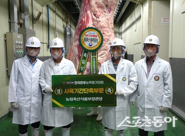 경주한우가 제28회 전국한우능력평가대회서 사육기간단축 부문 1위와 2위를 차지했다. 사진제공 ㅣ 경주시