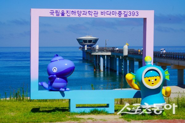 국립울진해양과학관 ‘393바다마중길’은 동해 바다 위를 걷는 듯한 이색체험을 제공한다. 사진제공 ㅣ 울진군