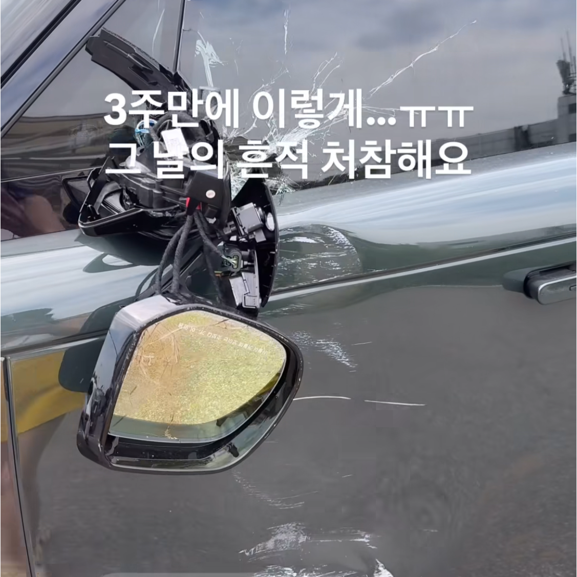 서효림 소셜 캡처