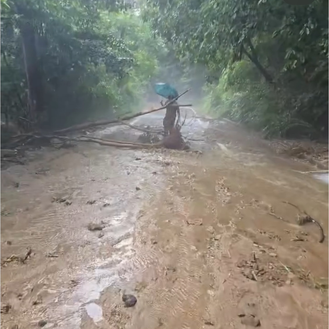 서효림 소셜 캡처