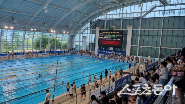 김천시는 김천실내수영장에서 ‘2025 교보생명컵 꿈나무 수영대회’를 성공적으로 개최했다. 사진제공 ㅣ 김천시