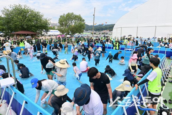 제27회 봉화은어축제 8일차 ‘전국 맨손잡이 선발대회’가 진행되고 있다. 사진제공 ㅣ 봉화군
