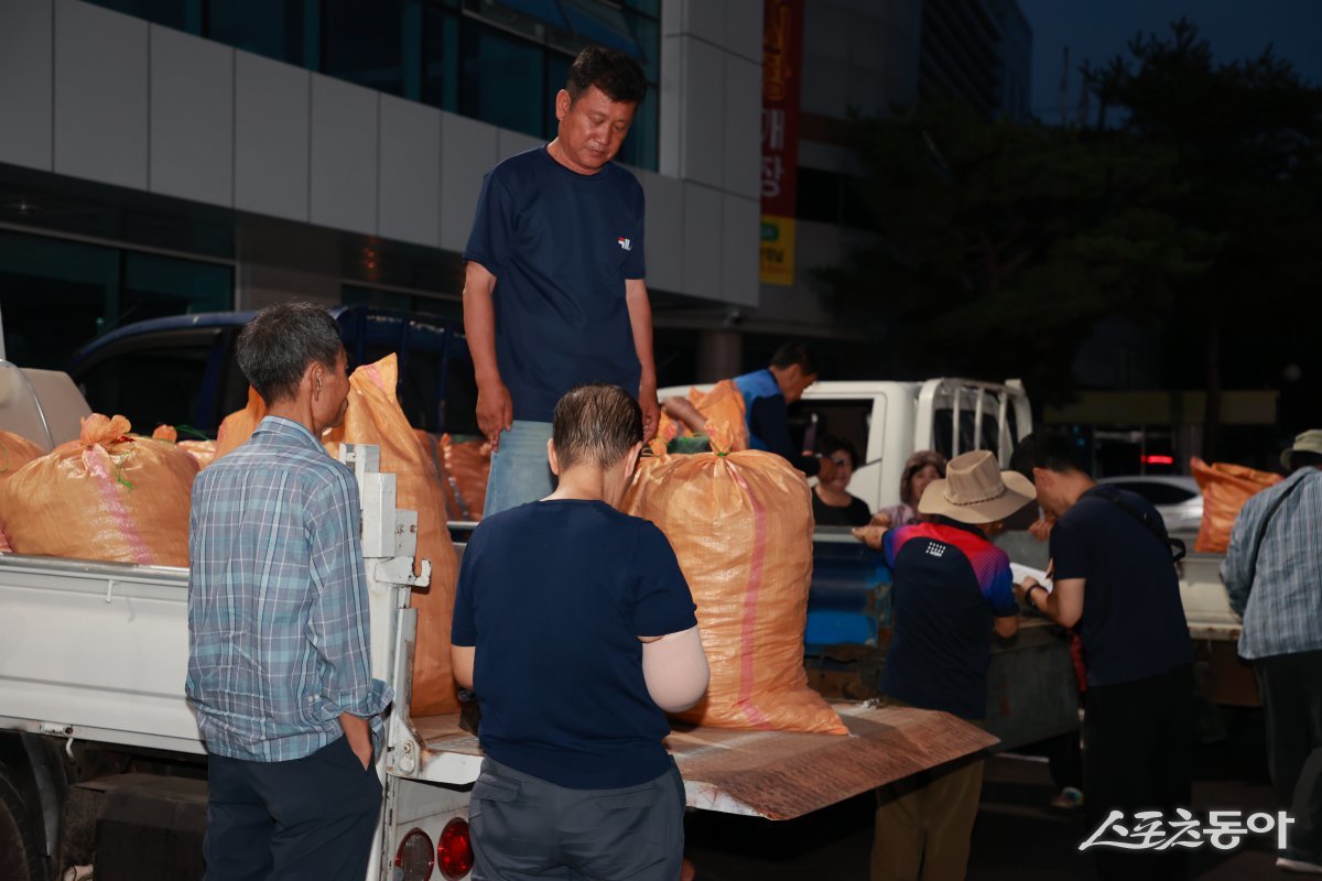 청정 자연에서 자란 ‘괴산청결고추’를 찾는 소비자들의 발길이 새벽부터 분주하다(3일 홍고추 직거래시장 개장 준비로 농가들이 분주하게 움직이고 있다). 사진제공｜괴산군