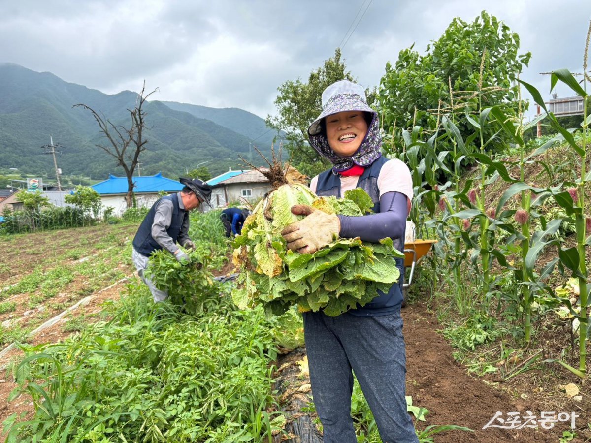 충북 단양군(군수 김문근)이 귀농귀촌에 관심 있는 도시민을 대상으로 오는 8월 5일까지 ‘단양에서 살아보기’ 프로그램 참가자를 모집한다(삼태산농촌체험휴양마을). 사진제공|단양군