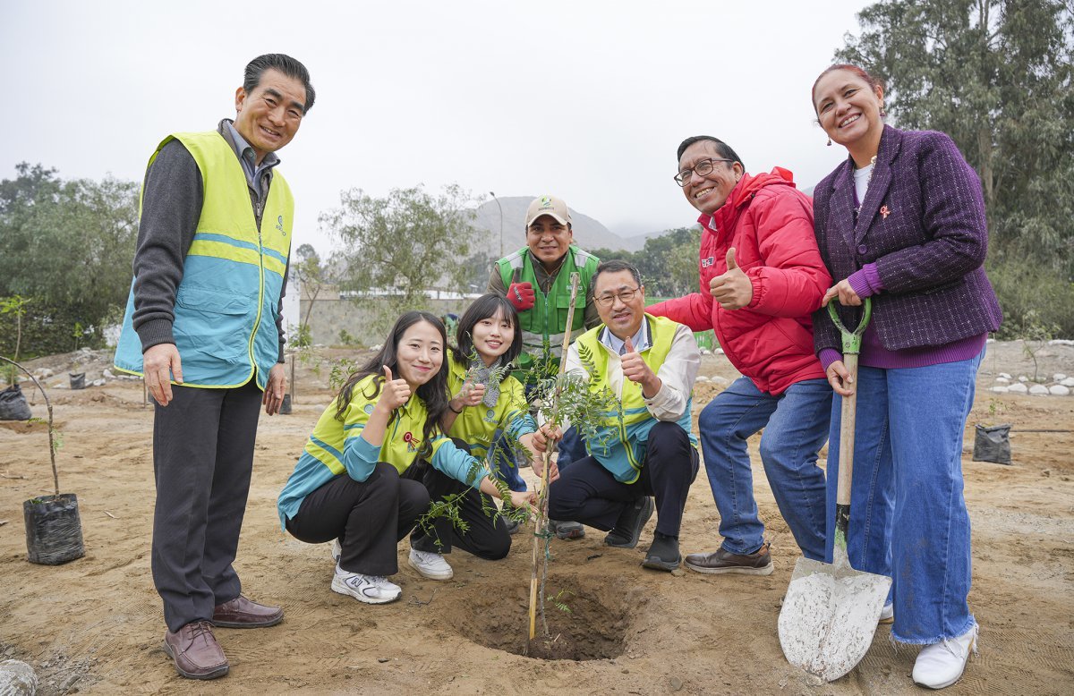 지난달 20일(현지시각) 페루 리마 치에네기야 루린 강변에서 ASEZ WAO가 개최한 ‘페루 환경부와 함께하는 나무심기 활동’ 모습. 환경부 환경정보 등 정부 관계자와 치에네기야 부청장 등 150명이 참여했다. 