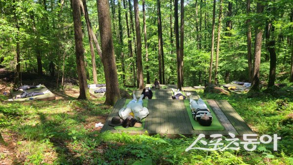 대구 달성군이 비슬산 치유의 숲에서 ‘무더위 탈출 야간 프로그램을 운영하고 있다. 사진제공 ㅣ 달성군