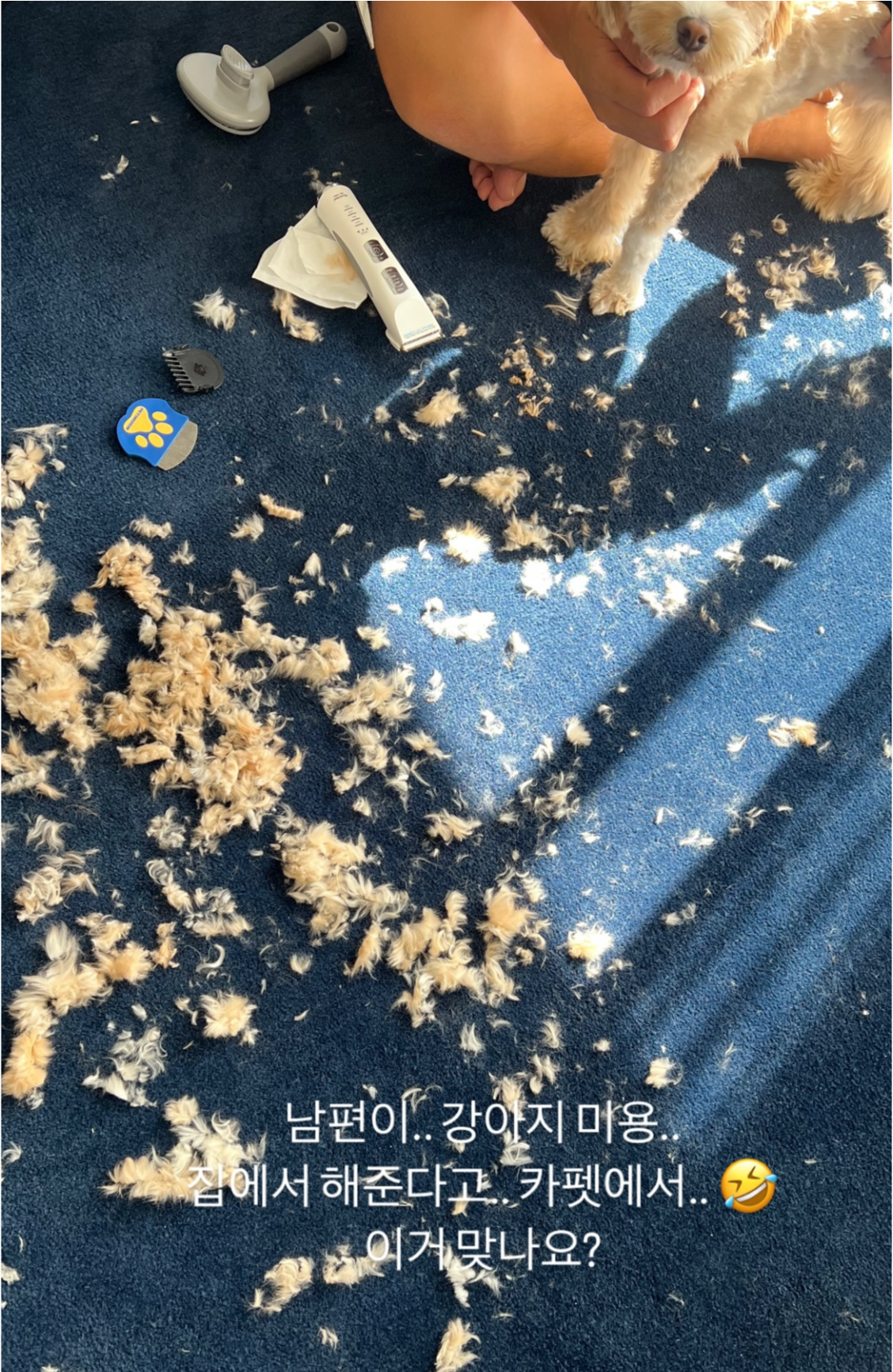 한예슬 소셜 캡처