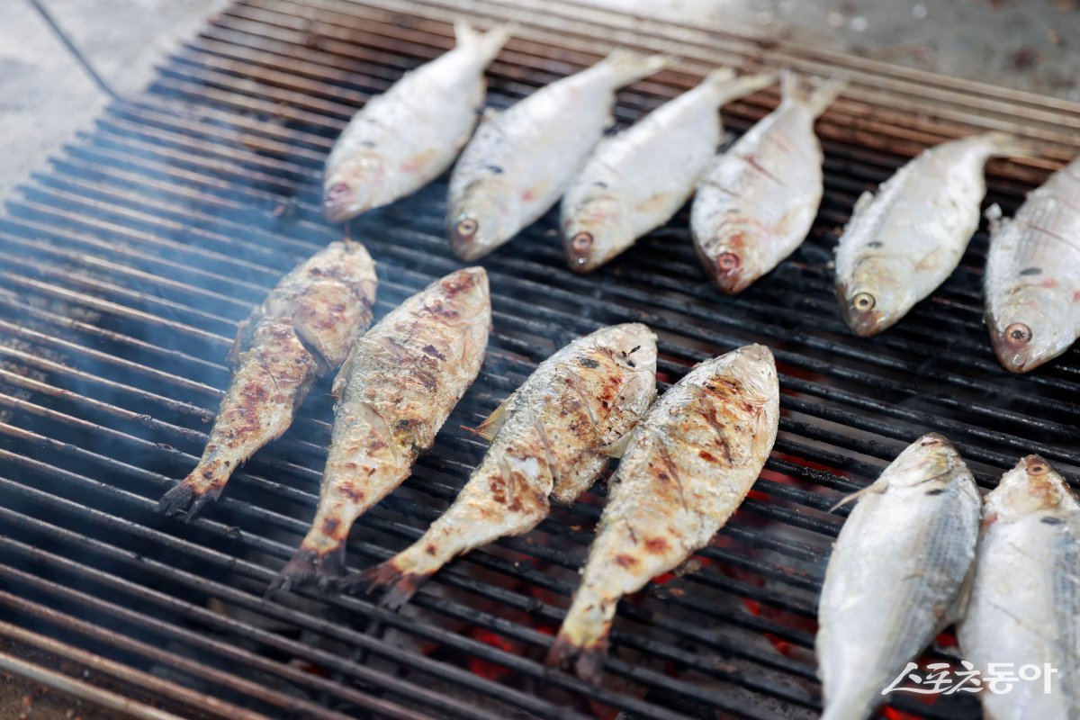 보성군은 여름 바다와 향토 먹거리가 어우러진 ‘제17회 보성전어축제’와 ‘제32회 회천면민의 날’을 오는 22일부터 23일까지 이틀간 율포솔밭해수욕장 일원에서 통합 개최된다고 6일 밝혔다. 사진제공=보성군