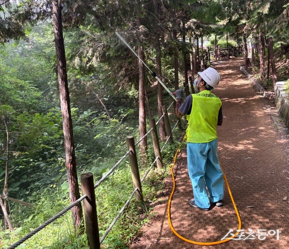 인천 계양구, 계양산‧천마산 산림병해충 선제적 방제를 완료했다. 사진제공|인천 계양구청