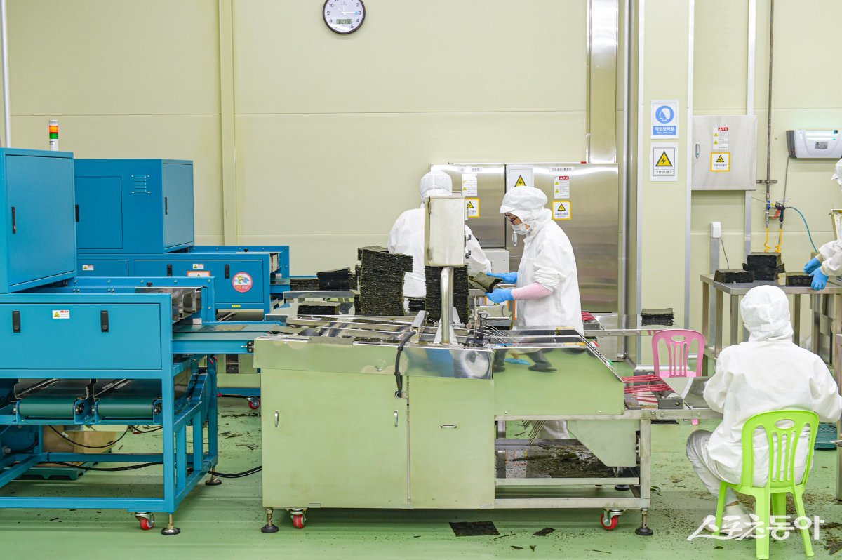 목포 김 가공 현장. 사진제공=목포시