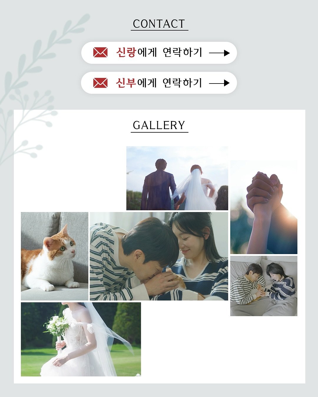 tvN 드라마 소셜 캡처