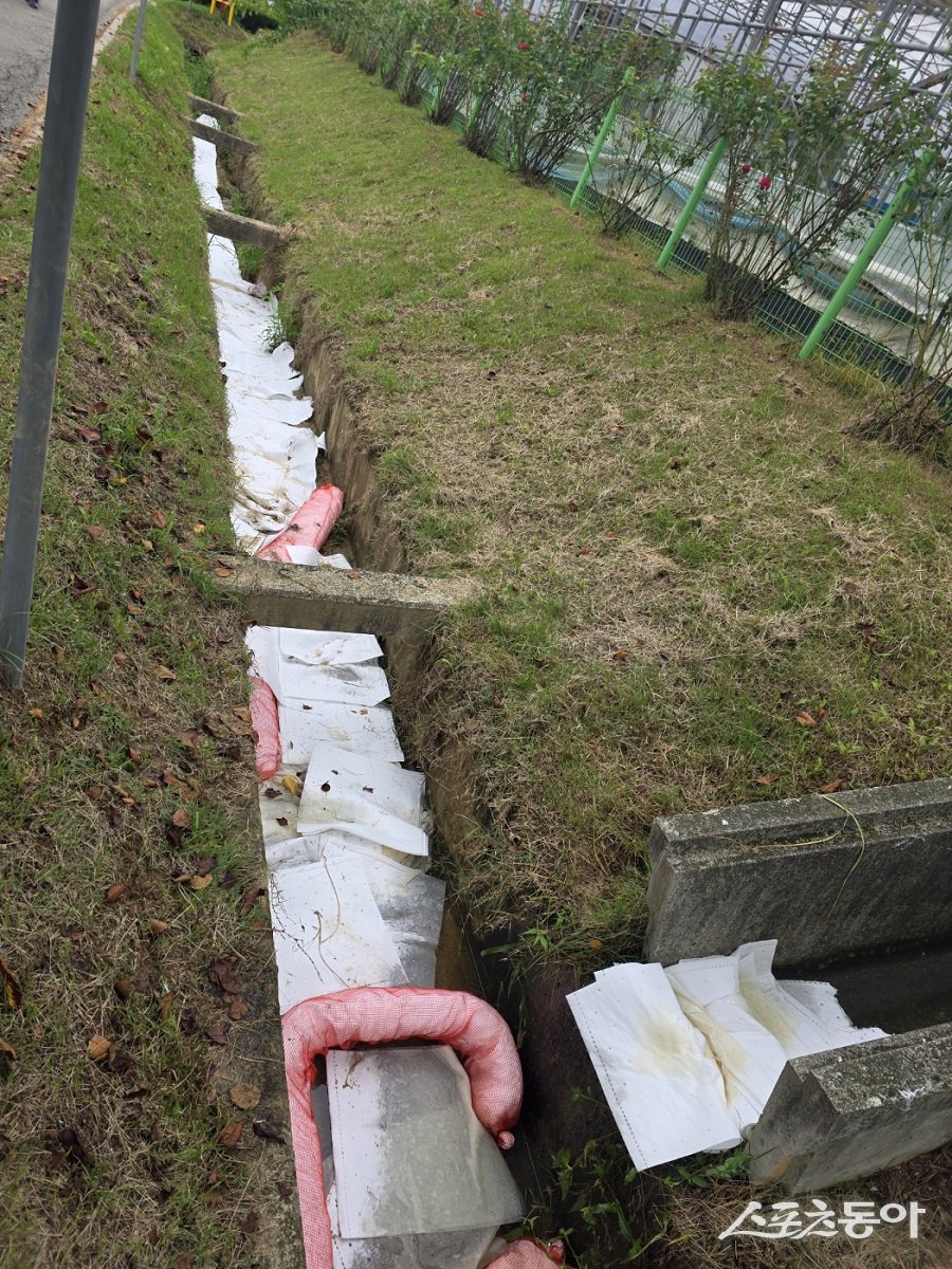 충북 증평군이 노후 시설에서 발생한 기름유출 사고에 즉각 대응해 보강천 오염 확산 방지에 총력을 기울이고 있다(유흡착표 설치 모습). 사진제공|증평군