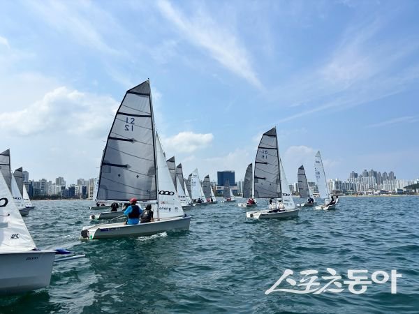 ‘제8회 대한민국 대학생 요트 대제전’이 지난 10일 포항 영일대해수욕장에서 진행되고 있는 모습. 사진제공ㅣ포항시
