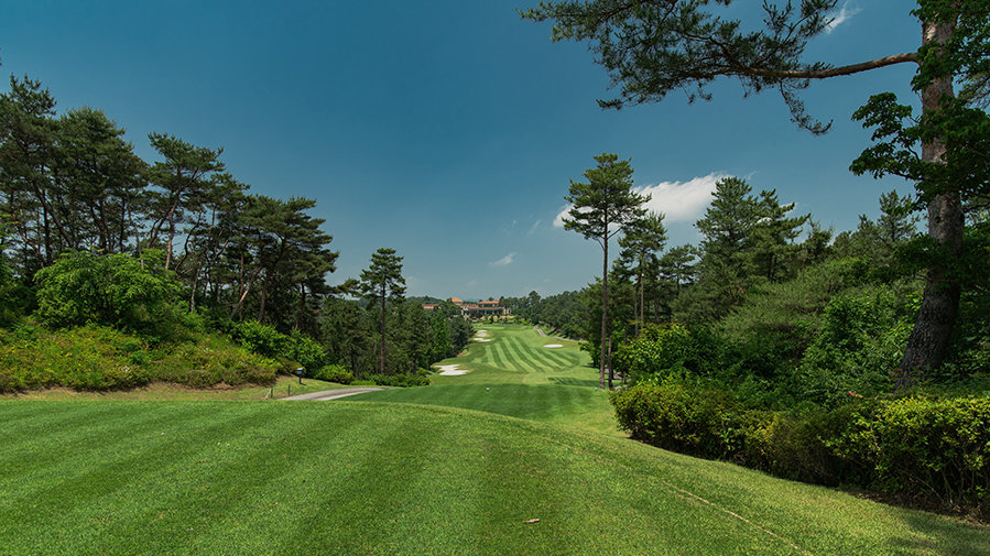 사진제공ㅣ더 시에나 그룹