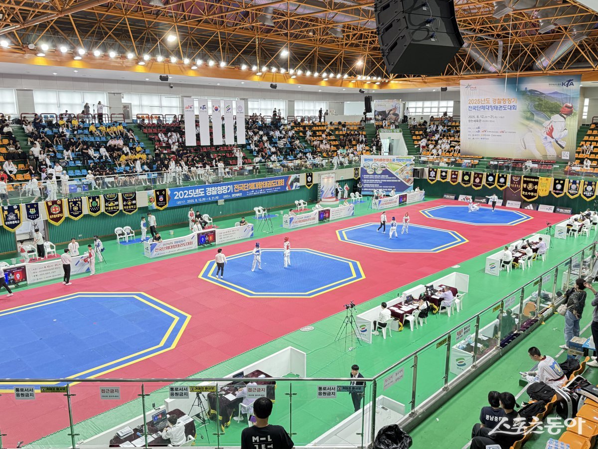 영천체육관에서 태권도 경기가 열리고 있다. 사진제공 ㅣ 영천시