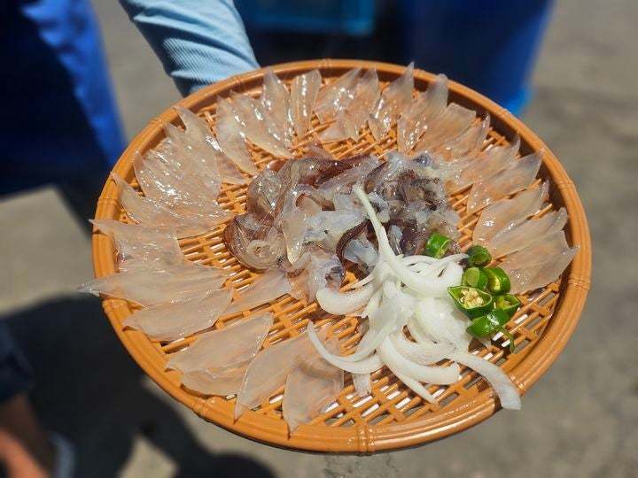 속초 오징어 난전에서 구매했다는 5만6000원짜리 오징어 두 마리 (출처=속초시청 자유게시판)