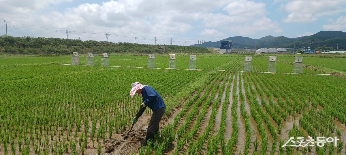 저탄소 농가. 사진제공=전남도