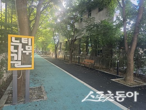 공릉천 진입로 ‘느티나무길’ 사진제공ㅣ파주시