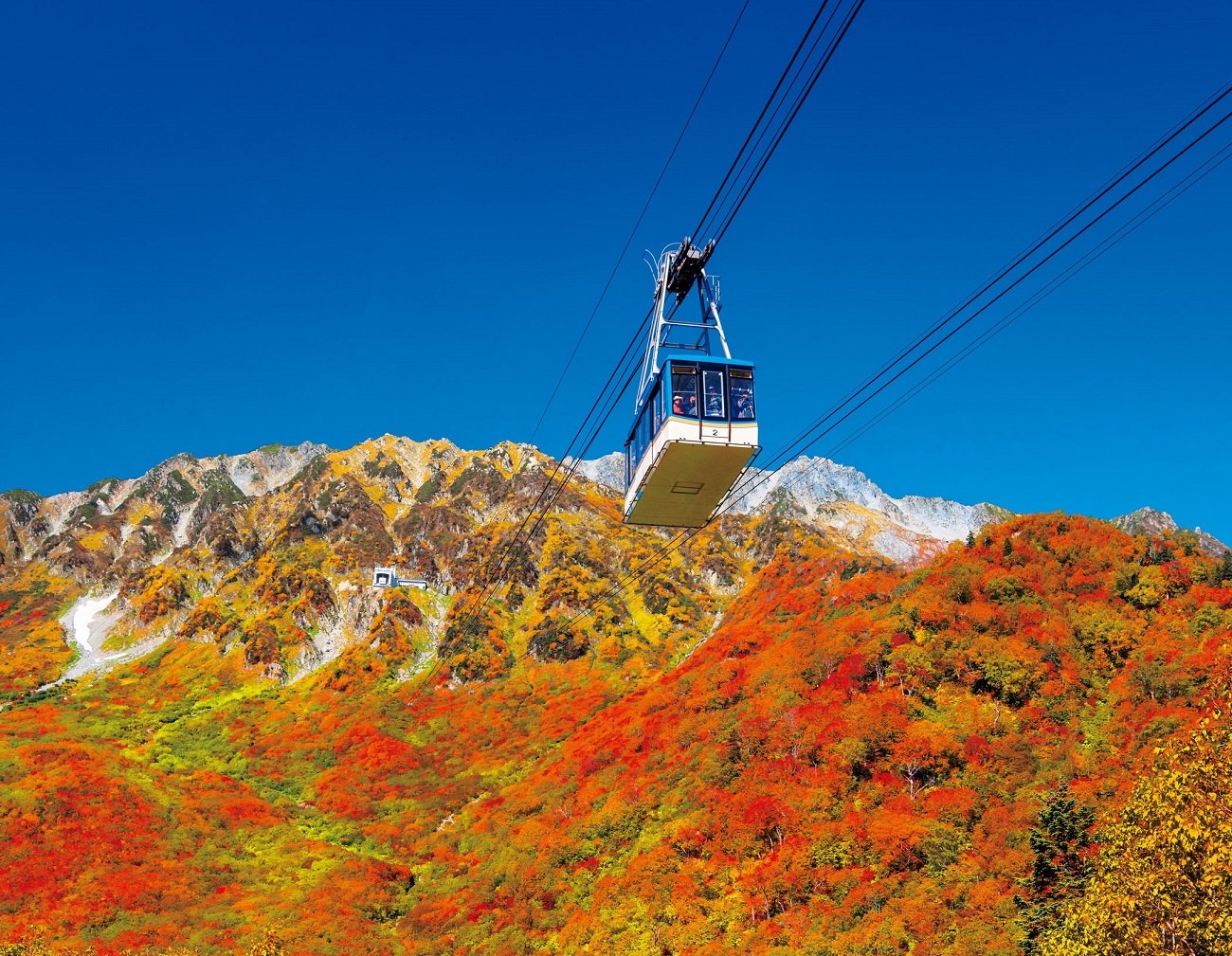 롯데관광개발 제공