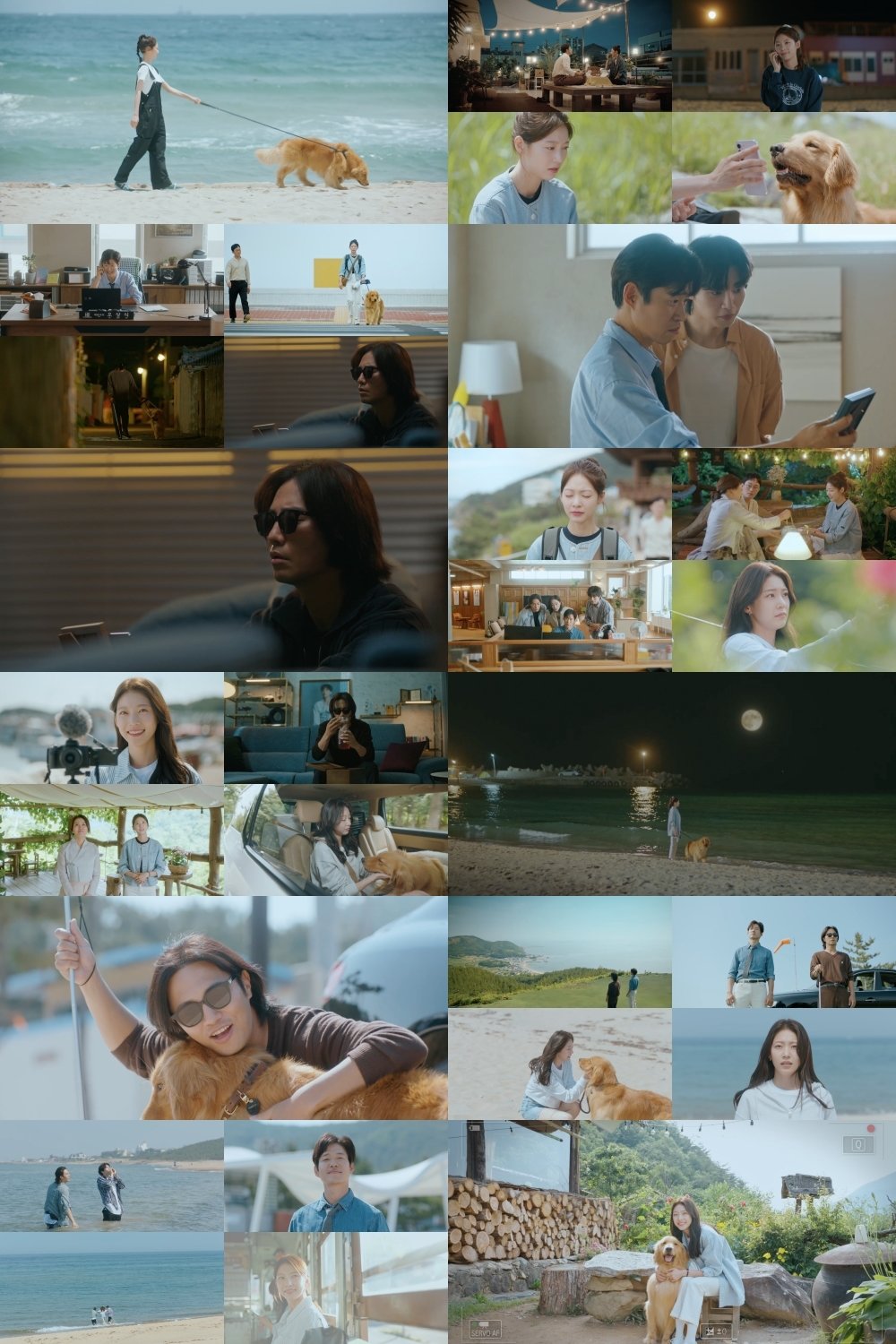 사진제공|채널A