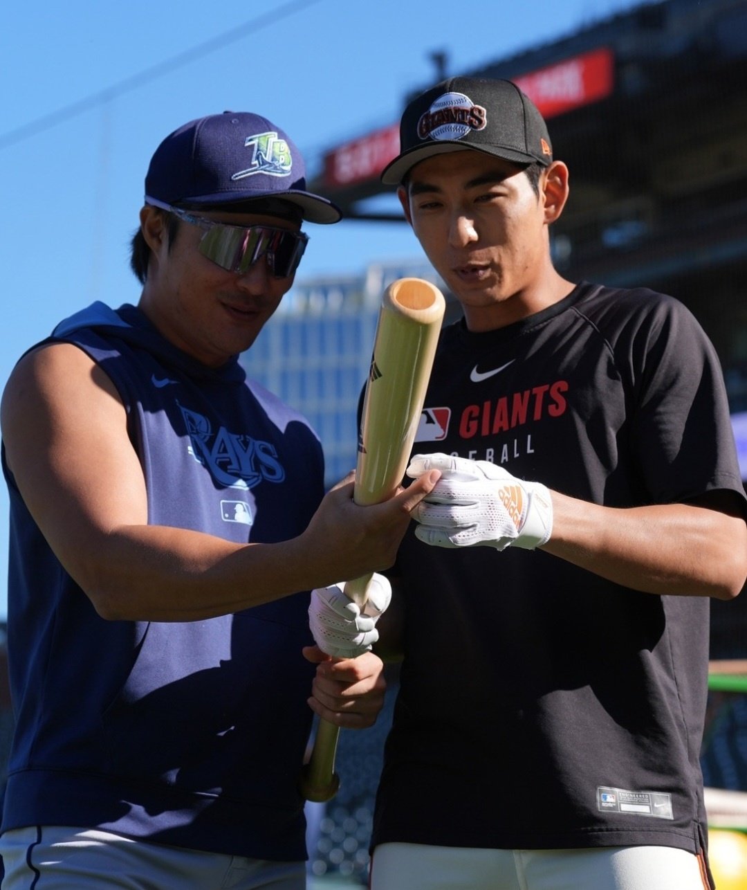 탬파베이 김하성(왼쪽)과 샌프란시스코 이정후는 17일(한국시간) 나란히 선발출전해 맞대결을 치렀다. 사진출처|MLB KOREA 공식 SNS