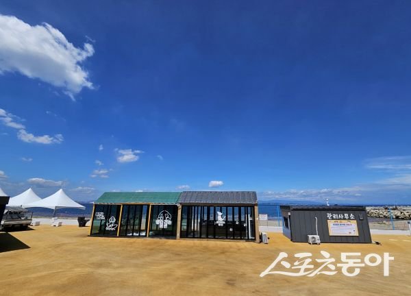 15일에 개장한 ‘흥환 애견동반 해수욕장’ 전경. 사진제공ㅣ포항시