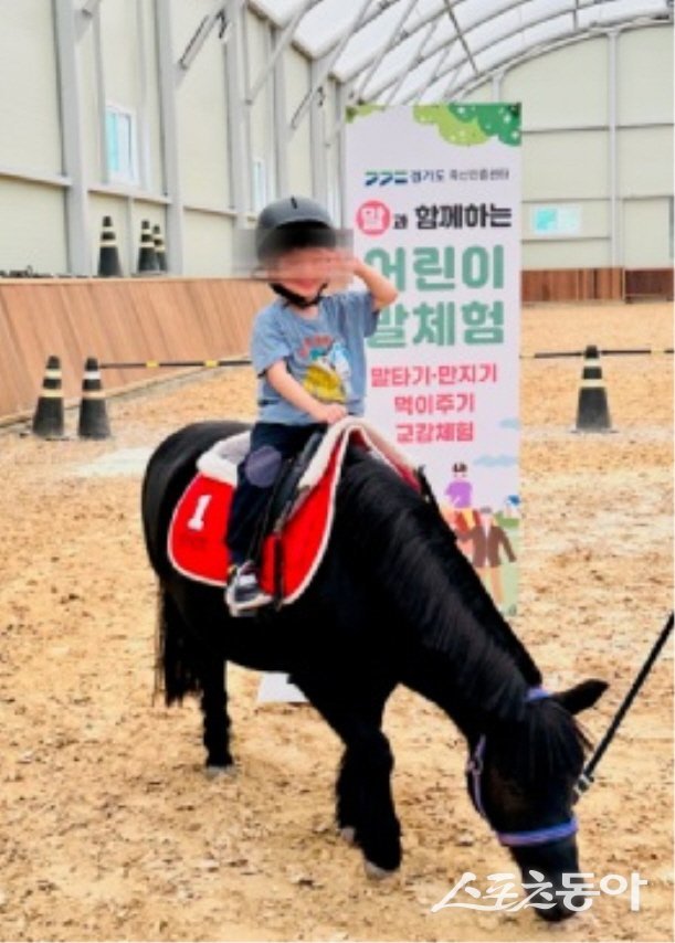 어린이 말체험 모습. 사진제공ㅣ경기도북부청