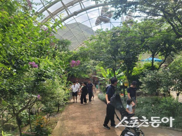 예천군이 진행한 ‘2025 예천곤충페스티벌’에 가족단위 관람객들이 둘러보고 있다. 사진제공 ㅣ 예천군