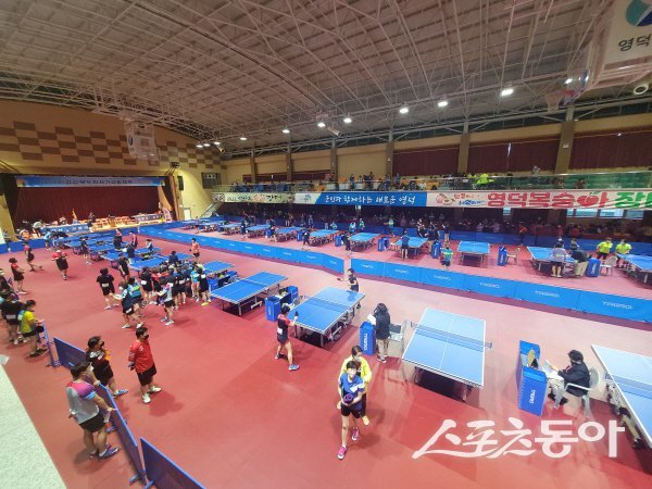 올해 8월 경북 영덕에서 개최된 제30회 경상북도지사기 생활체육 탁구대회. 스포츠동아DB