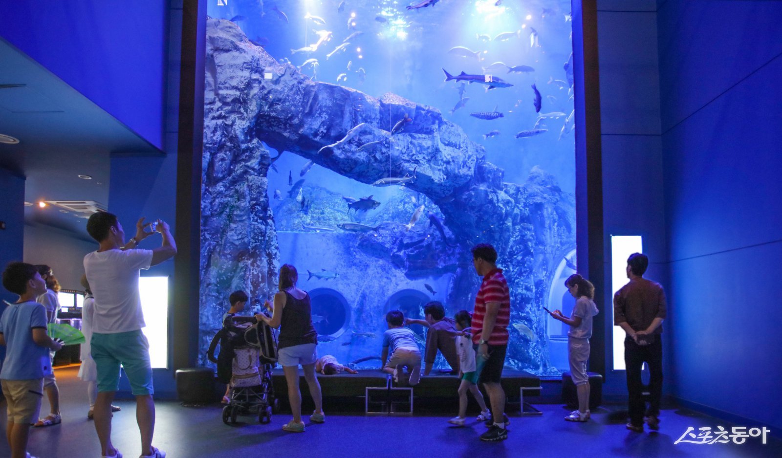 광복절 연휴를 맞은 충북 단양군이 전국 각지에서 몰려든 관광객들로 북새통을 이뤘다(다누리아쿠아리움 모습). 사진제공|단양군