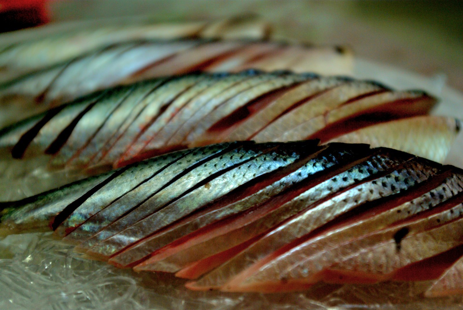 빼째회로 먹기에는 살과 뼈가 부드러운 여름전어가 좋다. 양형모 기자