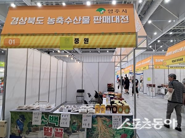 지난해 경상북도 농축산물 판매대전 부스 운영 당시 모습. 사진제공ㅣ영주시