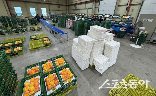 의성군 과수거점 APC. 사진제공ㅣ의성군