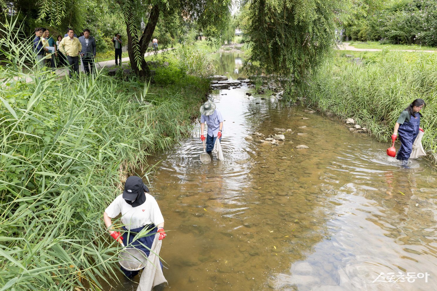 이재준 수원시장이 지난 20일 어류 집단 폐사가 발생한 현장을 확인하고 있다. 사진제공｜수원시