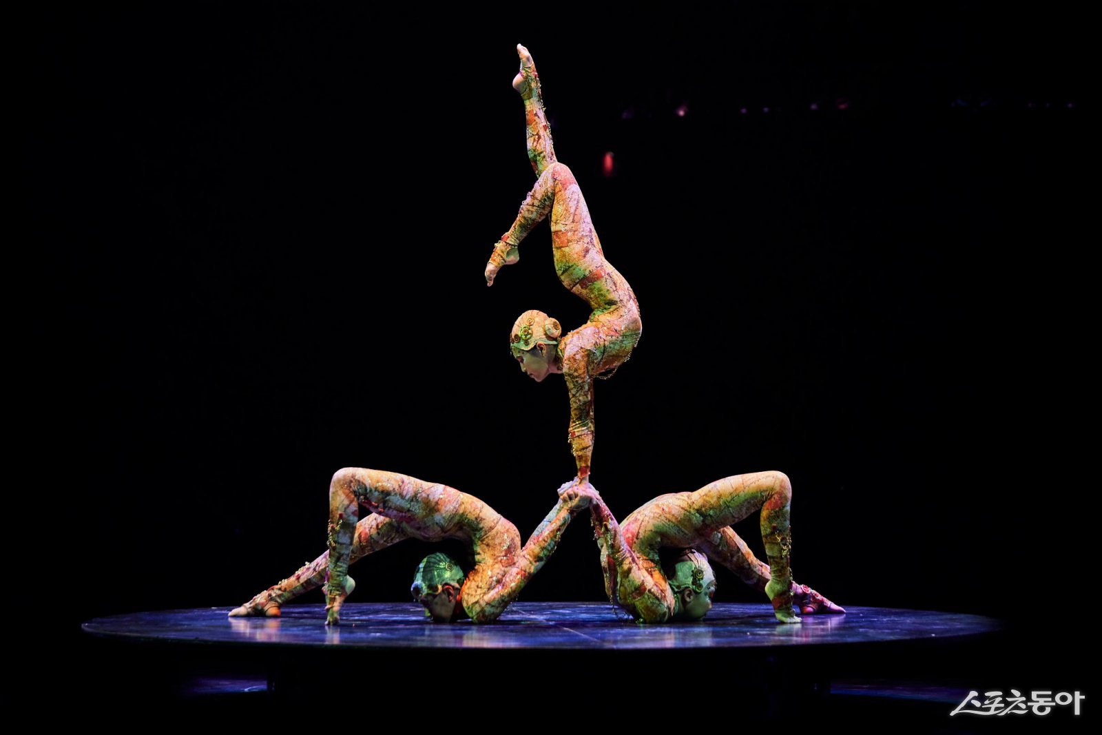 지난 20일 태양의서커스 쿠자의 ‘컨토션’ 공연 모습. (사진제공=㈜마스트 인터내셔널)