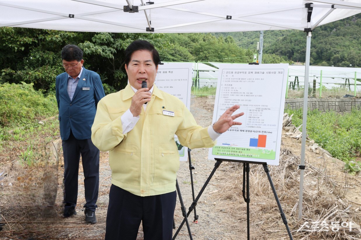 공영민 고흥군수가 25일 ‘곤드레 유공부직포 피복 재배기술 시범사업’ 점검 차 열린 현장평가회를 주재하고 있다. 사진제공=고흥군